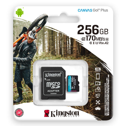 Carte mémoire Kingston avec adaptateur 256GB
