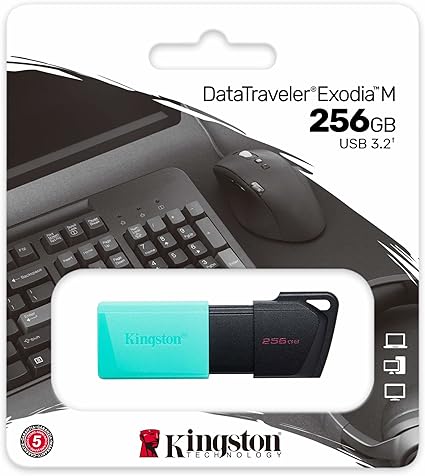 Clé USB 256 GB KINGSTON