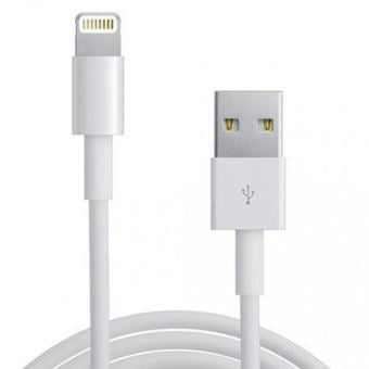 Câble de charge iPhone